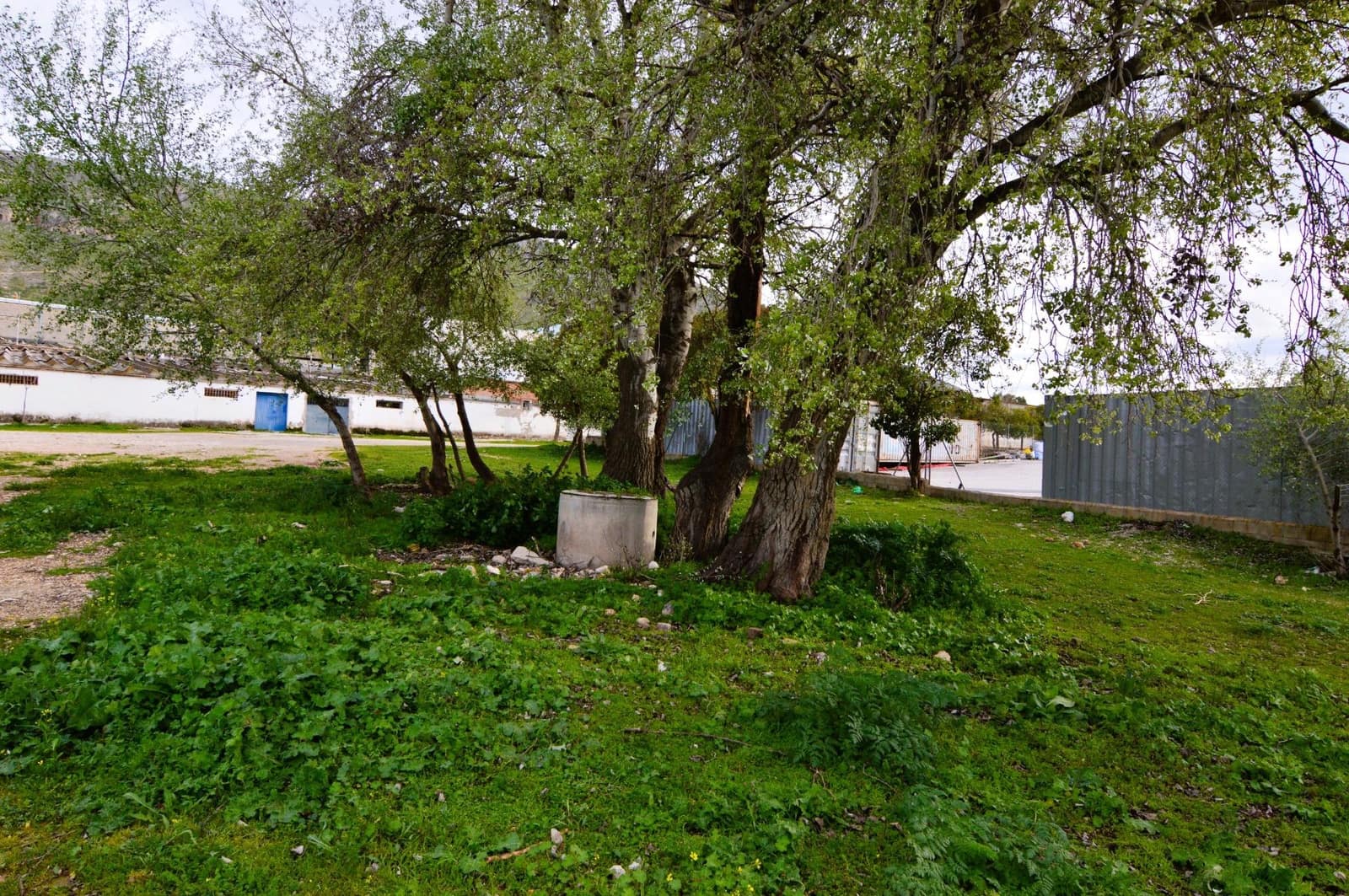 Business for sale in Loja - € 95,000 (Ref: 9468466)