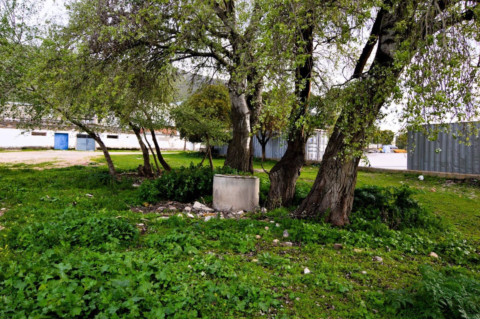 Business for sale in Loja - € 95,000 (Ref: 9468466)