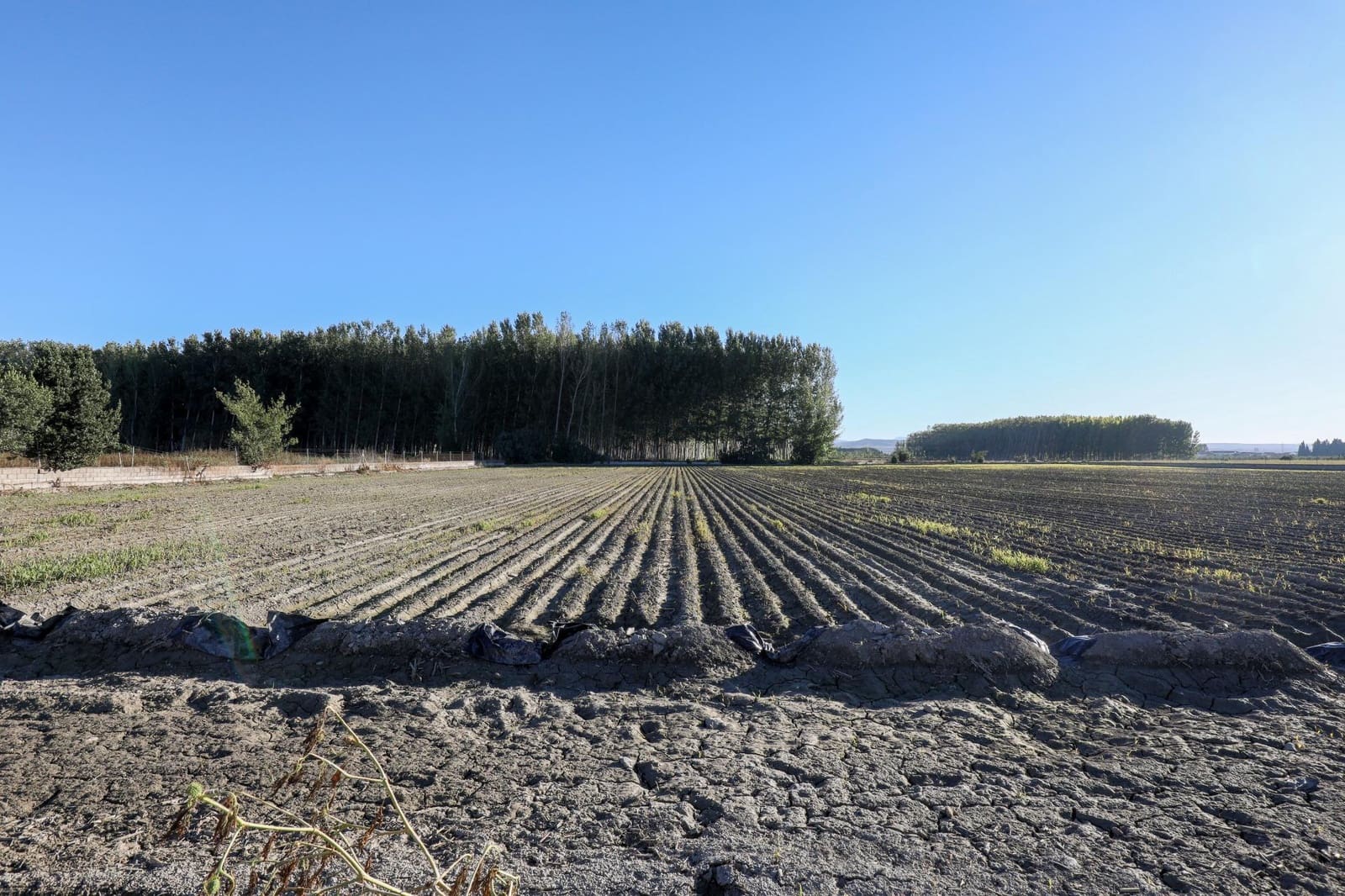 4 bedroom Finca/Country House for sale in Fuente Vaqueros - € 349,000 (Ref: 9474180)