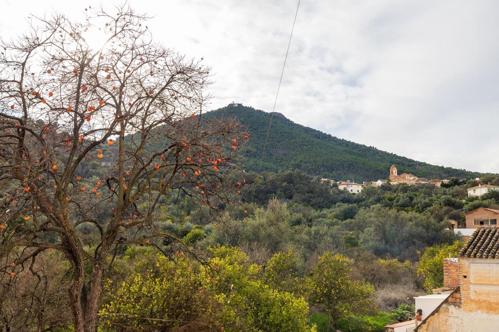 5 bedroom Townhouse for sale in El Pinar - € 84,900 (Ref: 9494599)