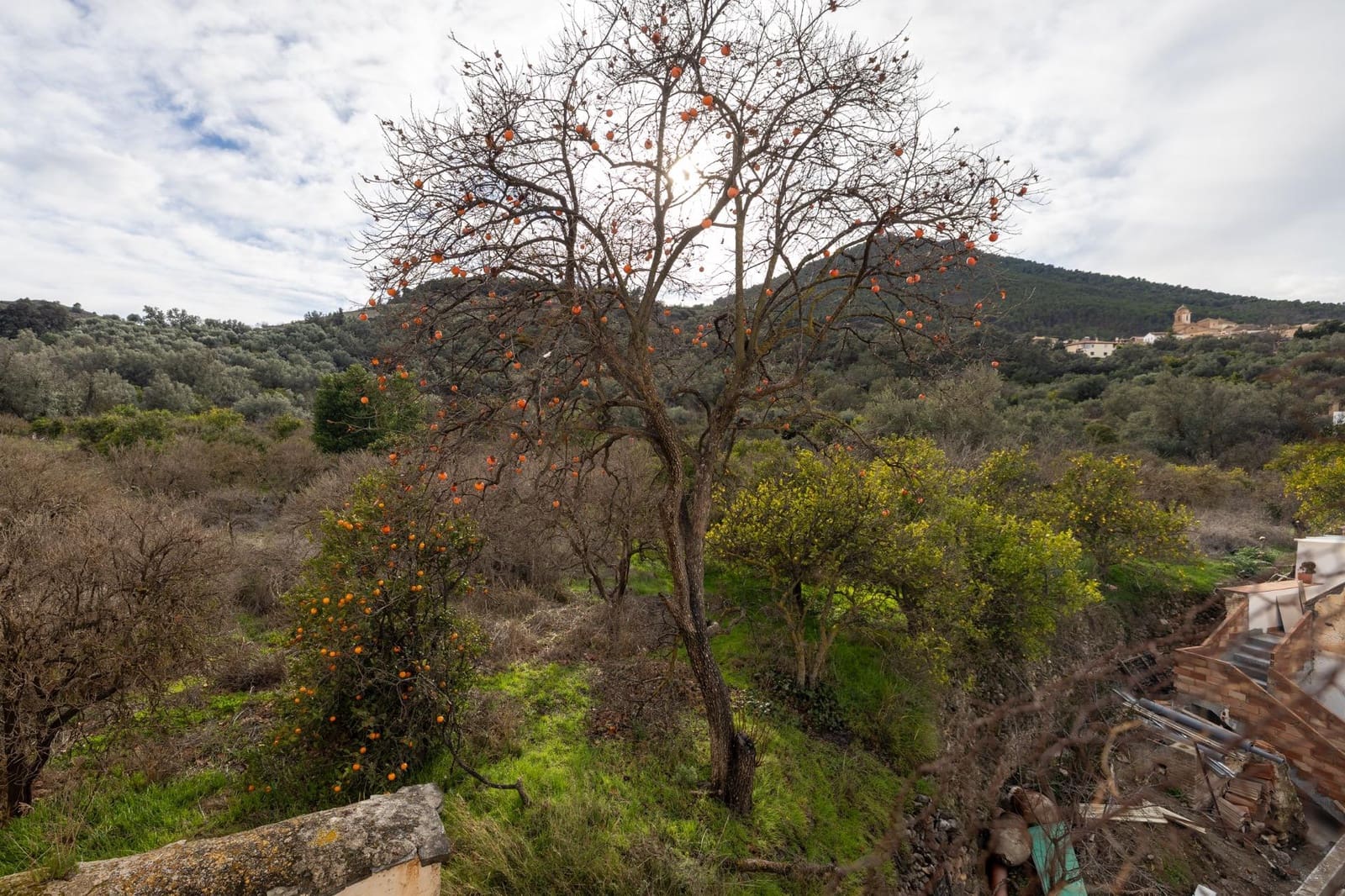 5 bedroom Townhouse for sale in El Pinar - € 84,900 (Ref: 9494599)