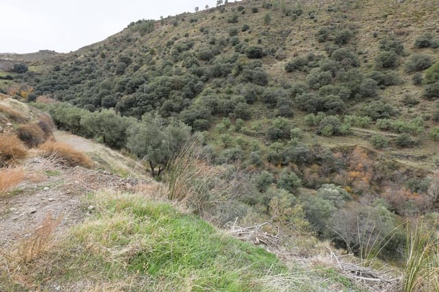 Terreno Non Edificato in vendita in Monachil - 28.000 € (Rif: 9497164)