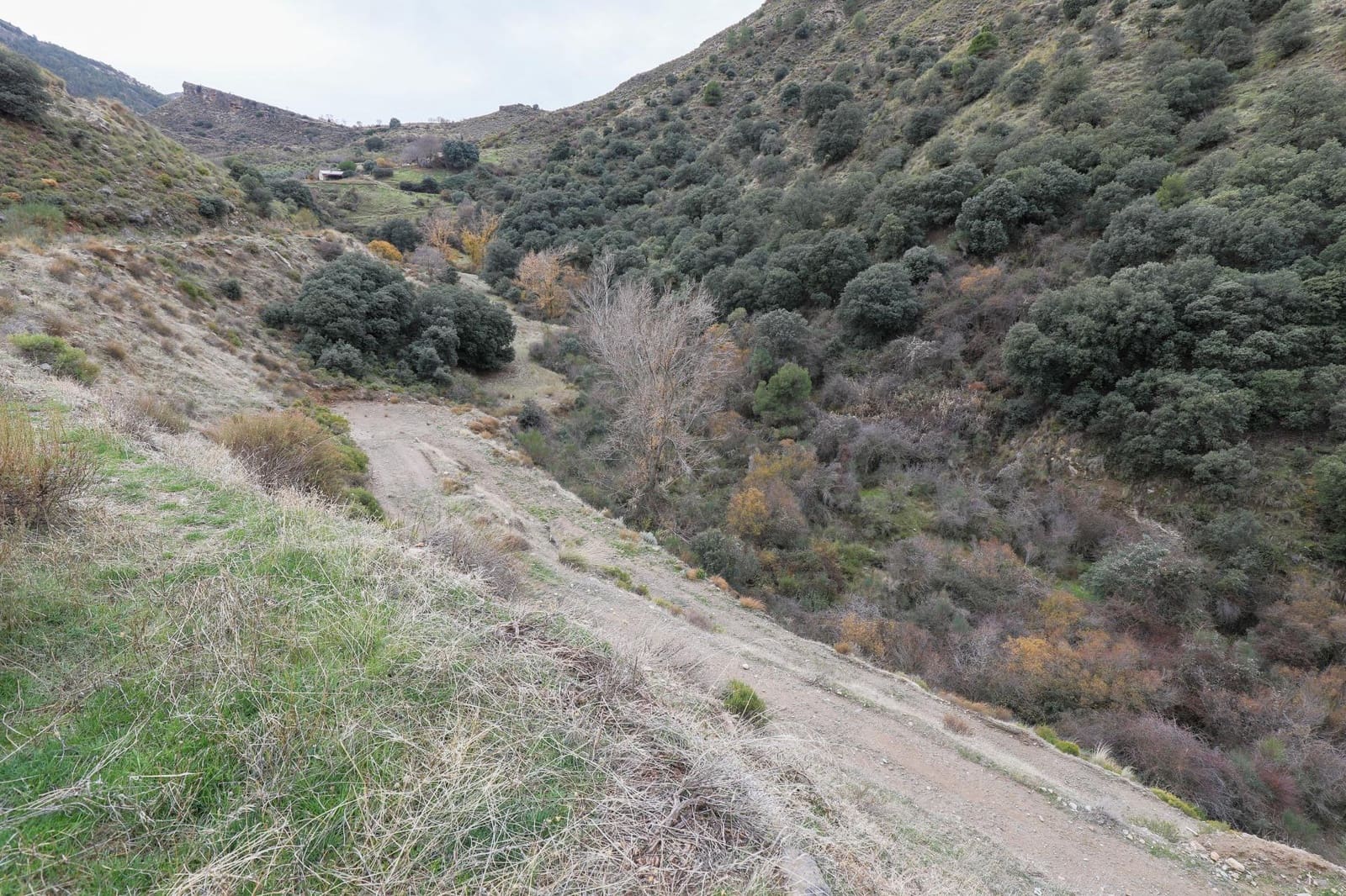 Undeveloped Land for sale in Monachil - € 28,000 (Ref: 9497164)