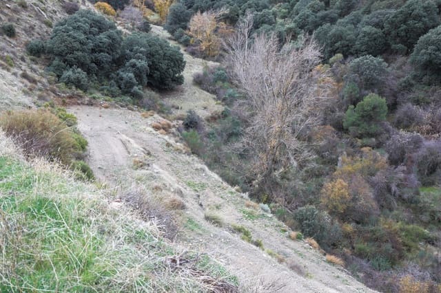 Terreno Non Edificato in vendita in Monachil - 28.000 € (Rif: 9497164)