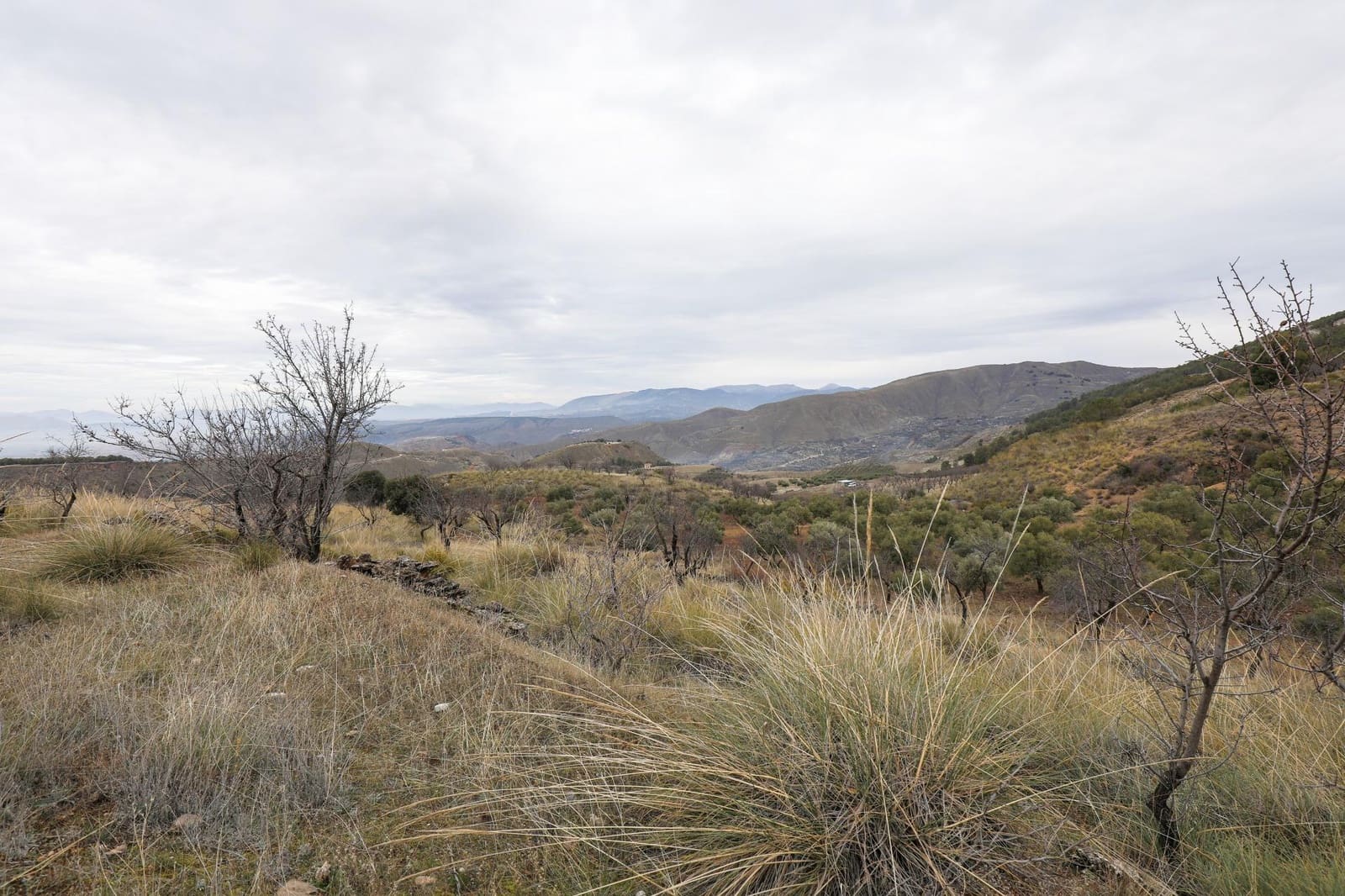 Undeveloped Land for sale in Monachil - € 112,500 (Ref: 9497165)