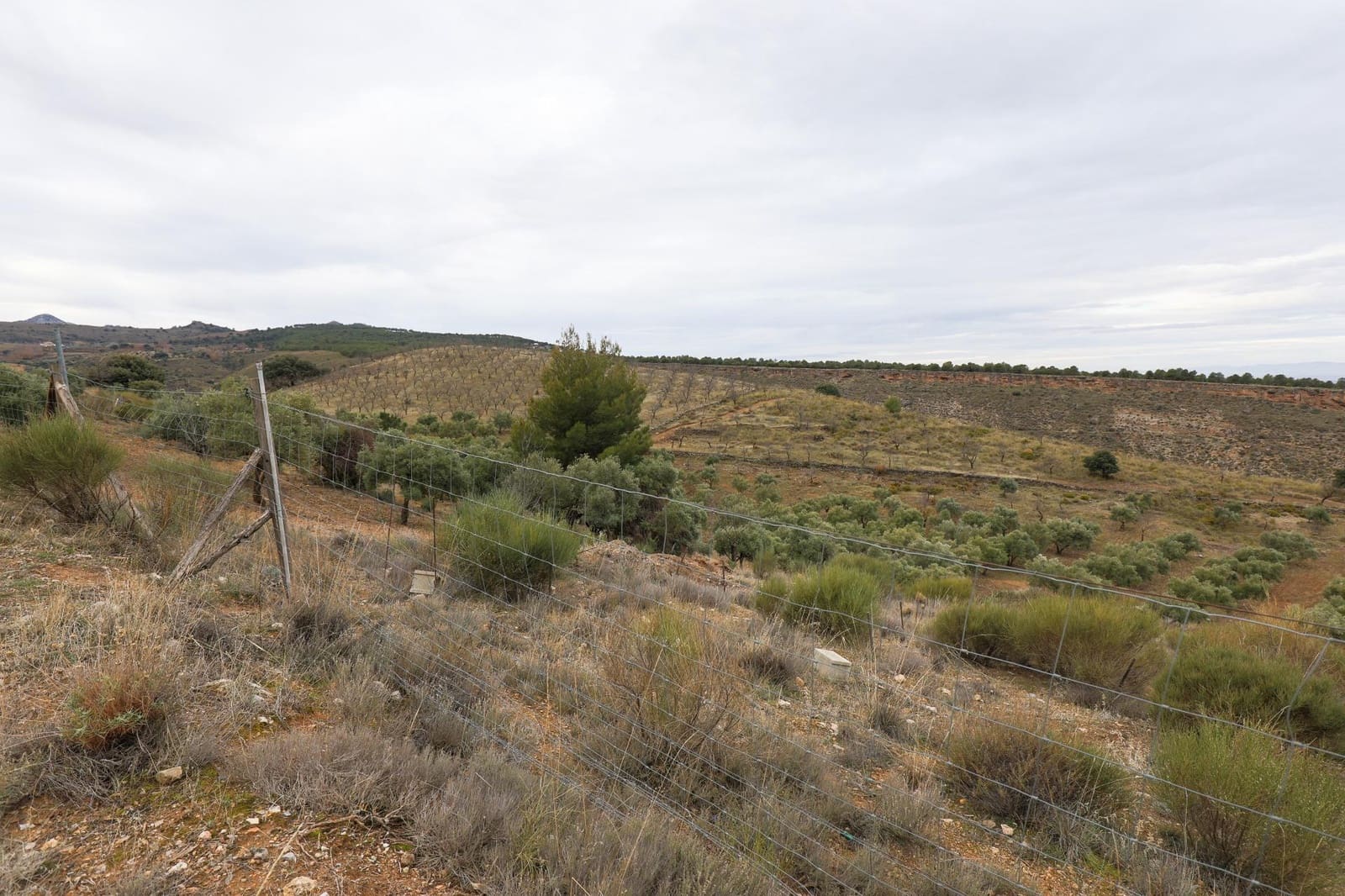 Undeveloped Land for sale in Monachil - € 112,500 (Ref: 9497165)