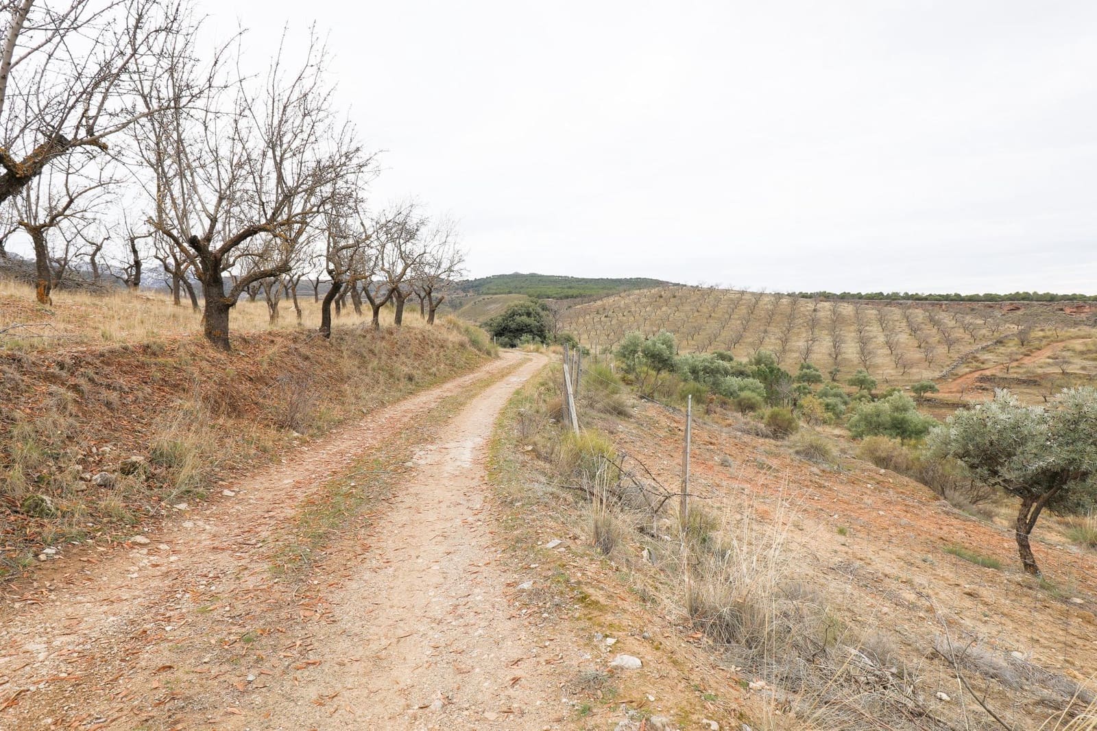 Undeveloped Land for sale in Monachil - € 112,500 (Ref: 9497165)