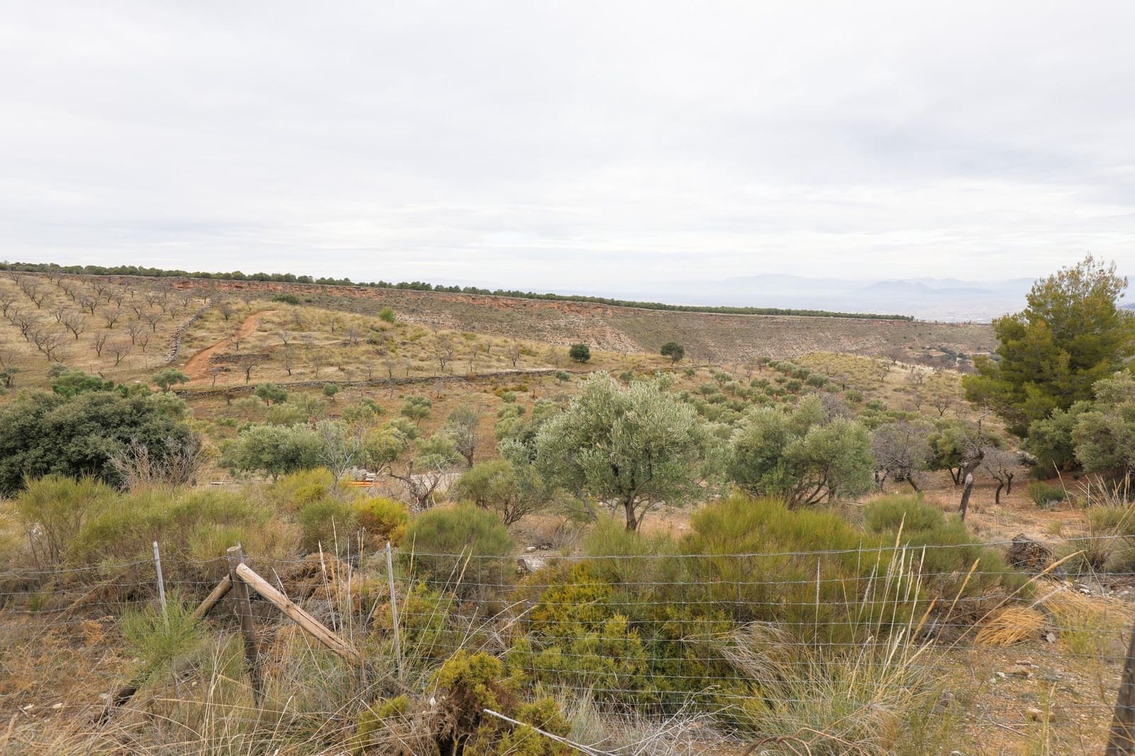 Undeveloped Land for sale in Monachil - € 112,500 (Ref: 9497165)