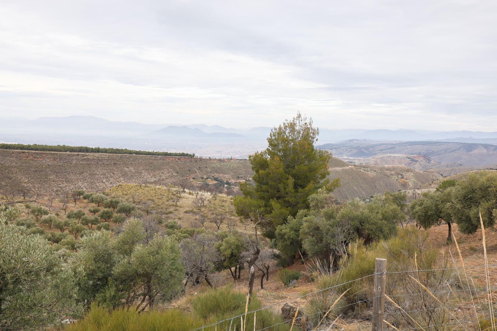 Undeveloped Land for sale in Monachil - € 112,500 (Ref: 9497165)