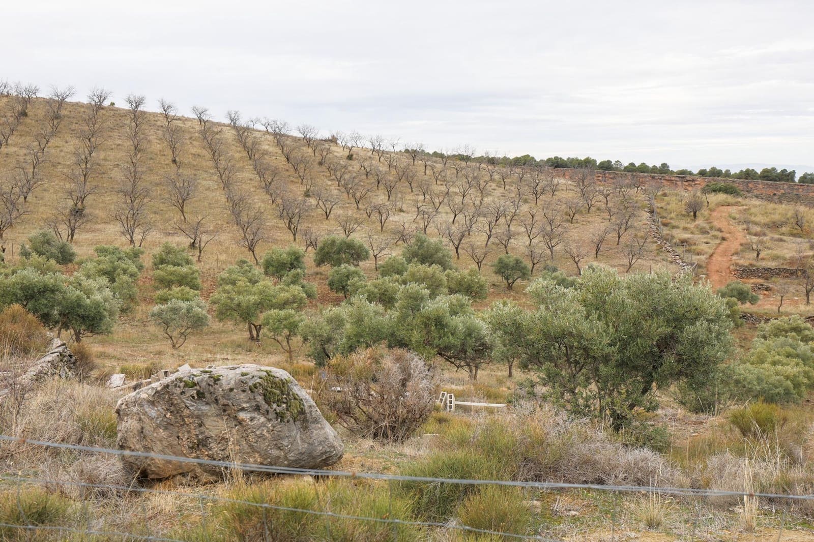 Undeveloped Land for sale in Monachil - € 112,500 (Ref: 9497165)