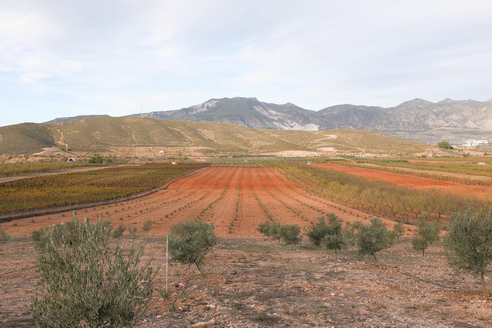 Terreno/Finca Rústica en Cozvijar en venta - 700.000 € (Ref: 9502338)