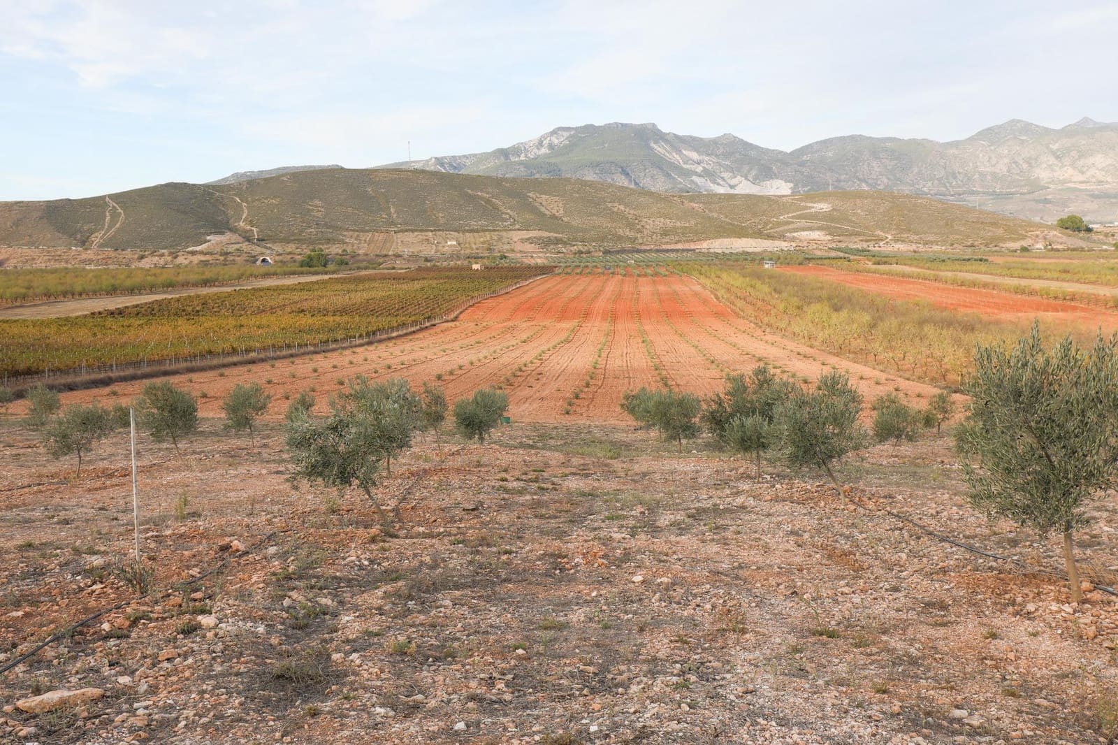 Terreno/Finca Rústica en Cozvijar en venta - 700.000 € (Ref: 9502338)