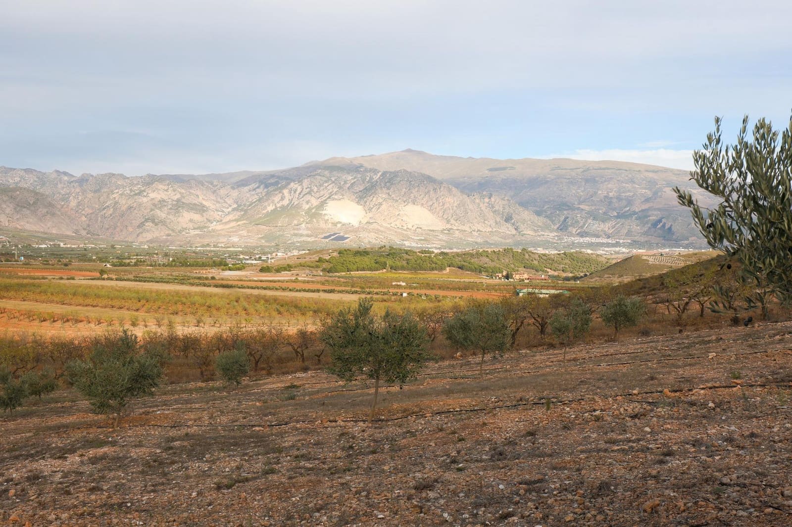 Terreno/Finca Rústica en Cozvijar en venta - 700.000 € (Ref: 9502338)