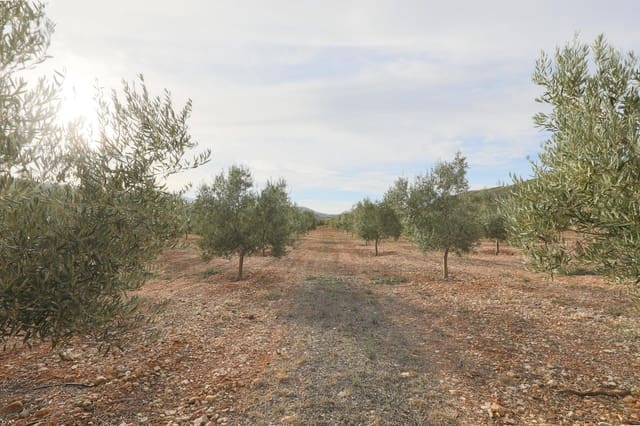 Terreno/Finca Rústica en Cozvijar, Villamena en venta - 700.000 € (Ref: 9502338)
