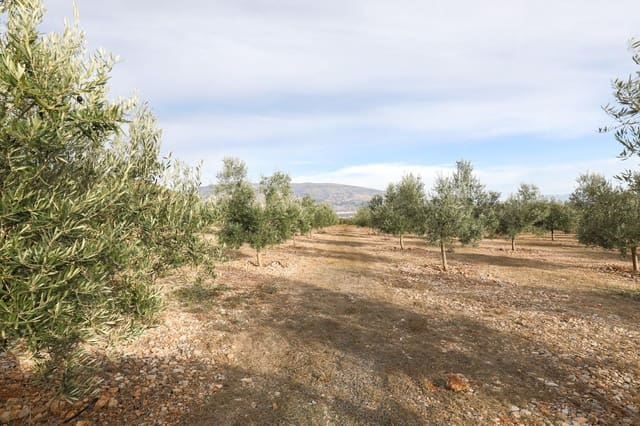 Terreno/Finca Rústica en Cozvijar, Villamena en venta - 700.000 € (Ref: 9502338)
