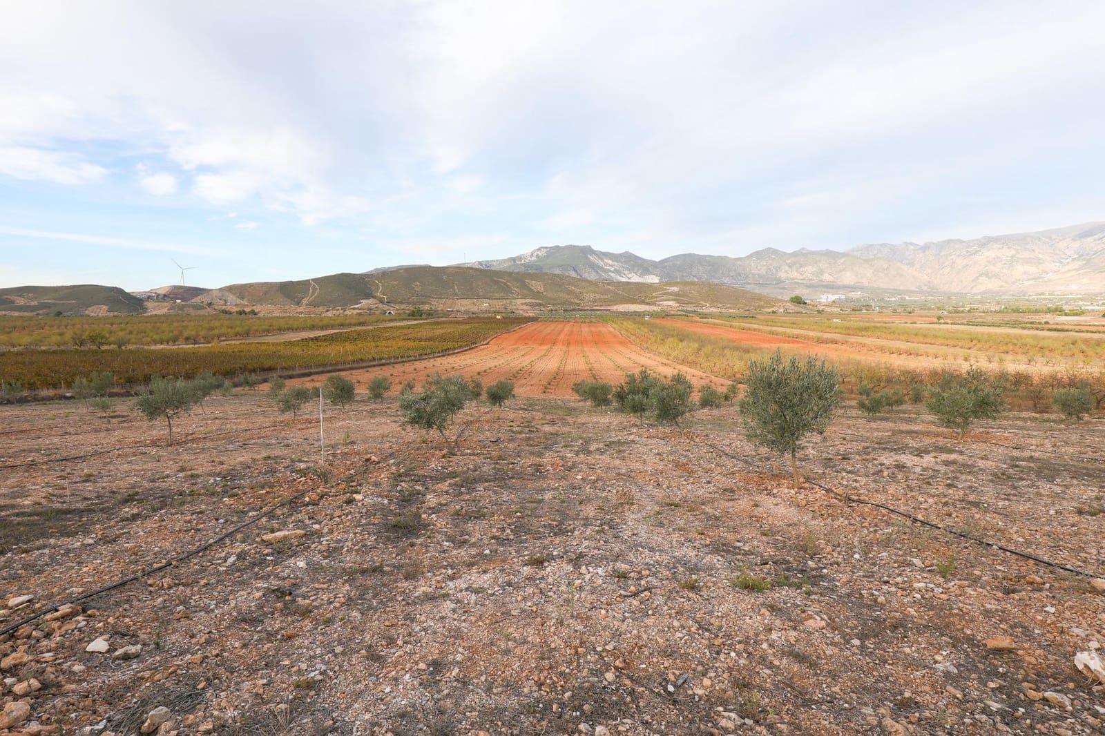 Terreno/Finca Rústica en Cozvijar en venta - 700.000 € (Ref: 9502338)