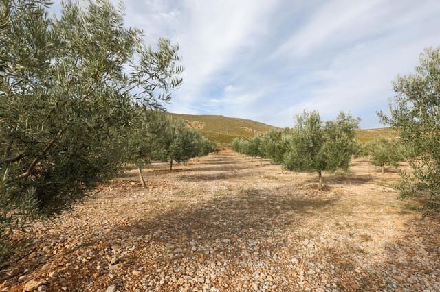 Terreno/Finca Rústica en Cozvijar, Villamena en venta - 700.000 € (Ref: 9502338)