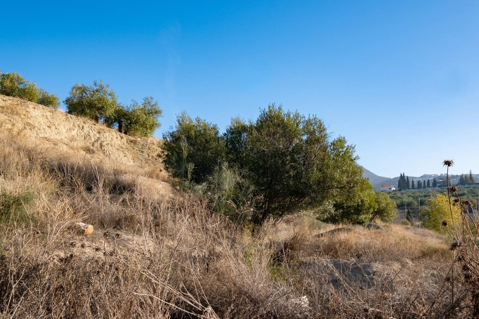 Tontti myytävänä paikassa Alfacar - 169 575 € (Ref: 9524757)