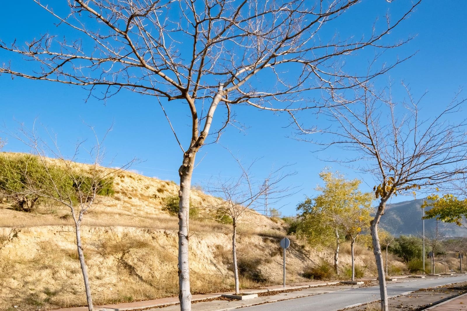 Tontti myytävänä paikassa Alfacar - 169 575 € (Ref: 9524757)