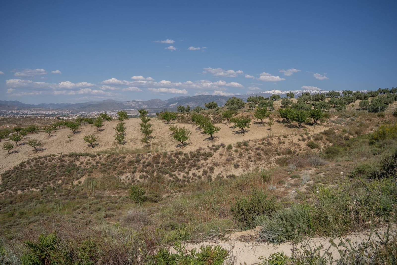 Grunde uden byggetilladelser til salg i Alhendin - € 102.000 (Ref: 9548164)