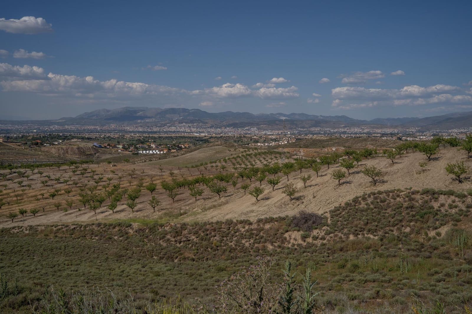 Grunde uden byggetilladelser til salg i Alhendin - € 102.000 (Ref: 9548164)