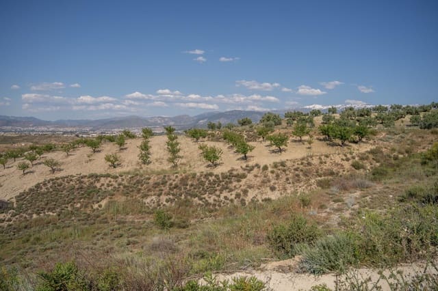 Grunde uden byggetilladelser til salg i Alhendín - € 102.000 (Ref: 9548164)