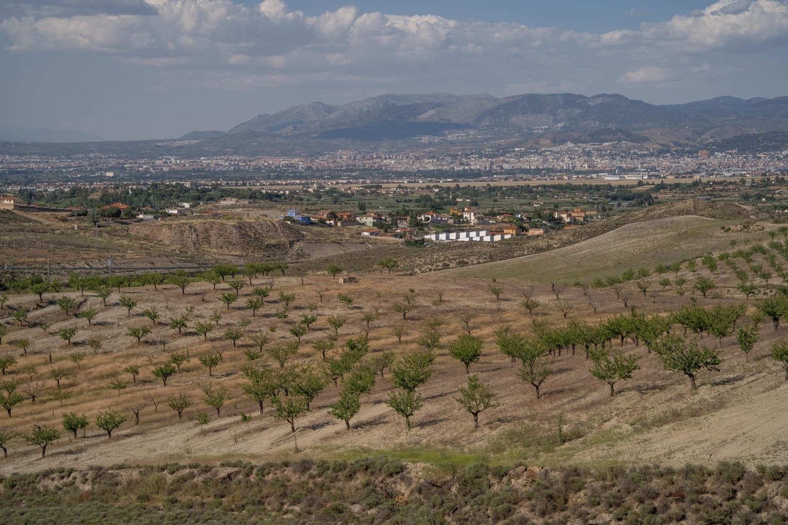 Grunde uden byggetilladelser til salg i Alhendin - € 102.000 (Ref: 9548164)