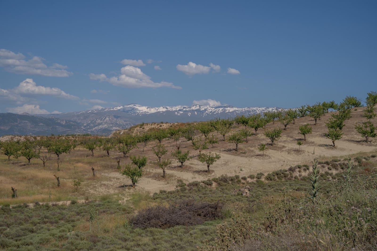 Grunde uden byggetilladelser til salg i Alhendin - € 102.000 (Ref: 9548164)