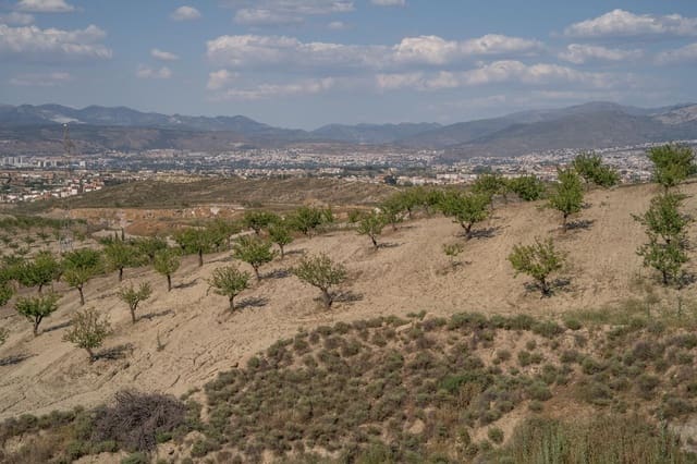 Grunde uden byggetilladelser til salg i Alhendín - € 102.000 (Ref: 9548164)