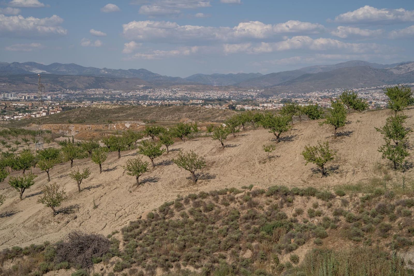 Grunde uden byggetilladelser til salg i Alhendin - € 102.000 (Ref: 9548164)