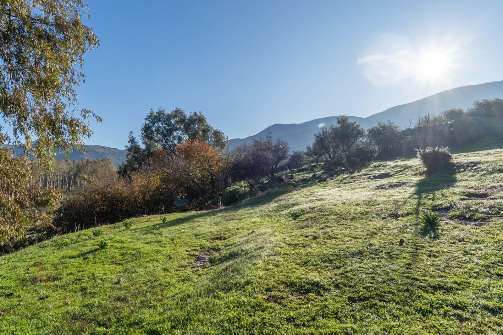 Grond te koop in Orgiva - € 63.500 (Ref: 9551459)