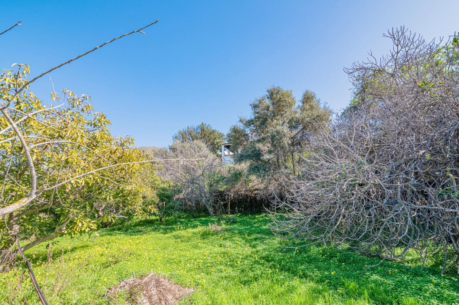 4 slaapkamer Villa te koop in Motril met zwembad garage - € 485.000 (Ref: 9644993)