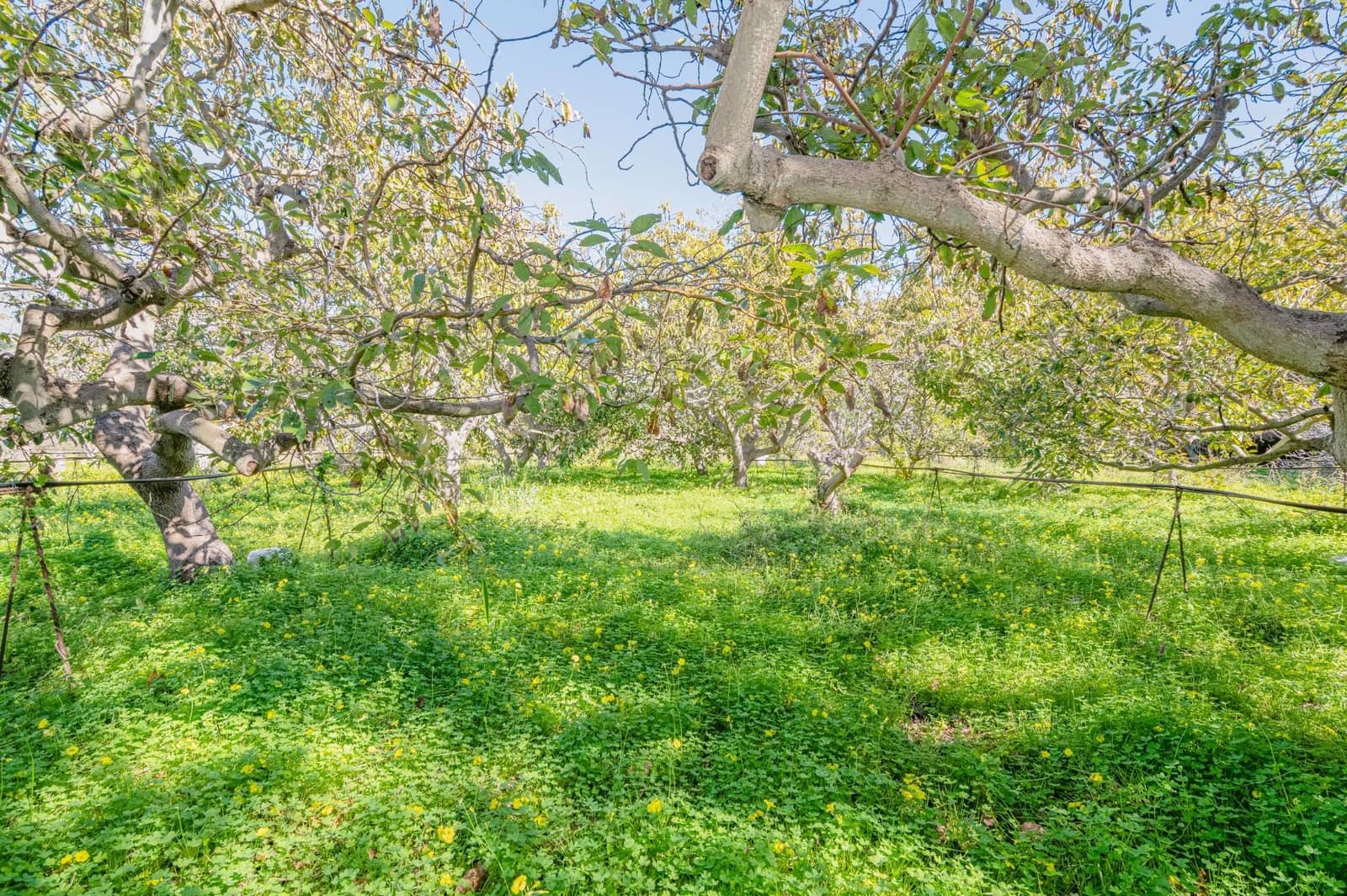 4 slaapkamer Villa te koop in Motril met zwembad garage - € 485.000 (Ref: 9644993)