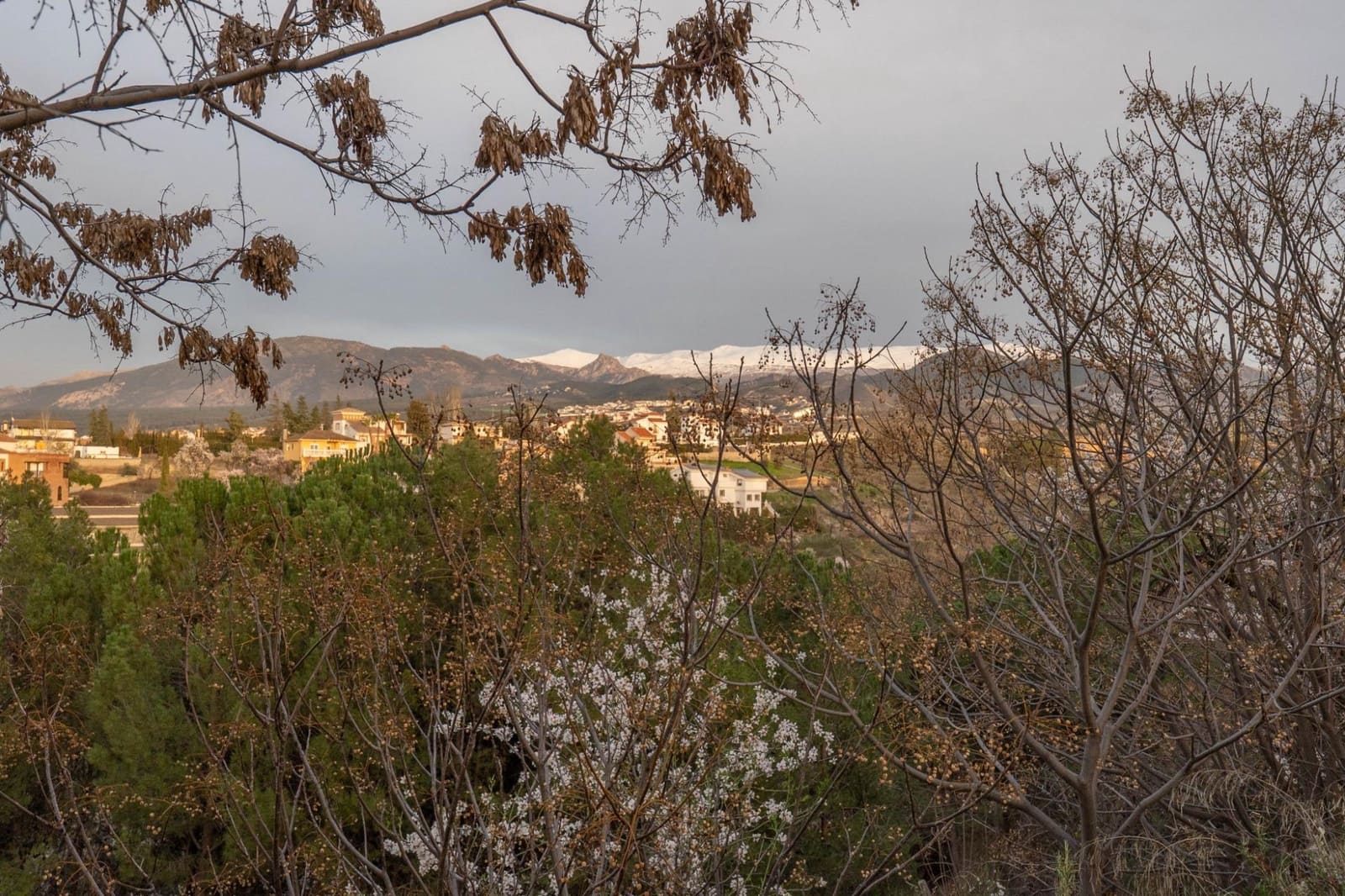 3 sovrum Semi-fristående Villa till salu i Gojar - 269 500 € (Ref: 9651931)