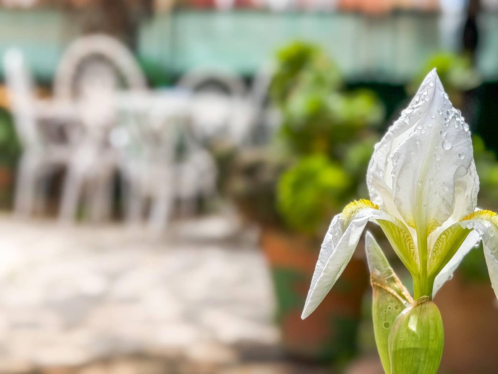 6 quarto Moradia Geminada para venda em Granada cidade com garagem - 595 000 € (Ref: 9684118)