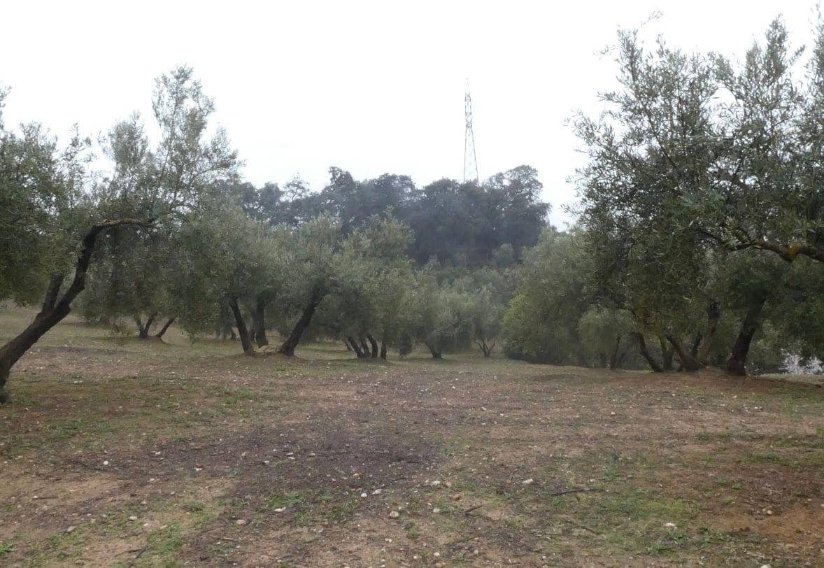 Undeveloped Land for sale in Peligros - € 144,000 (Ref: 9719902)