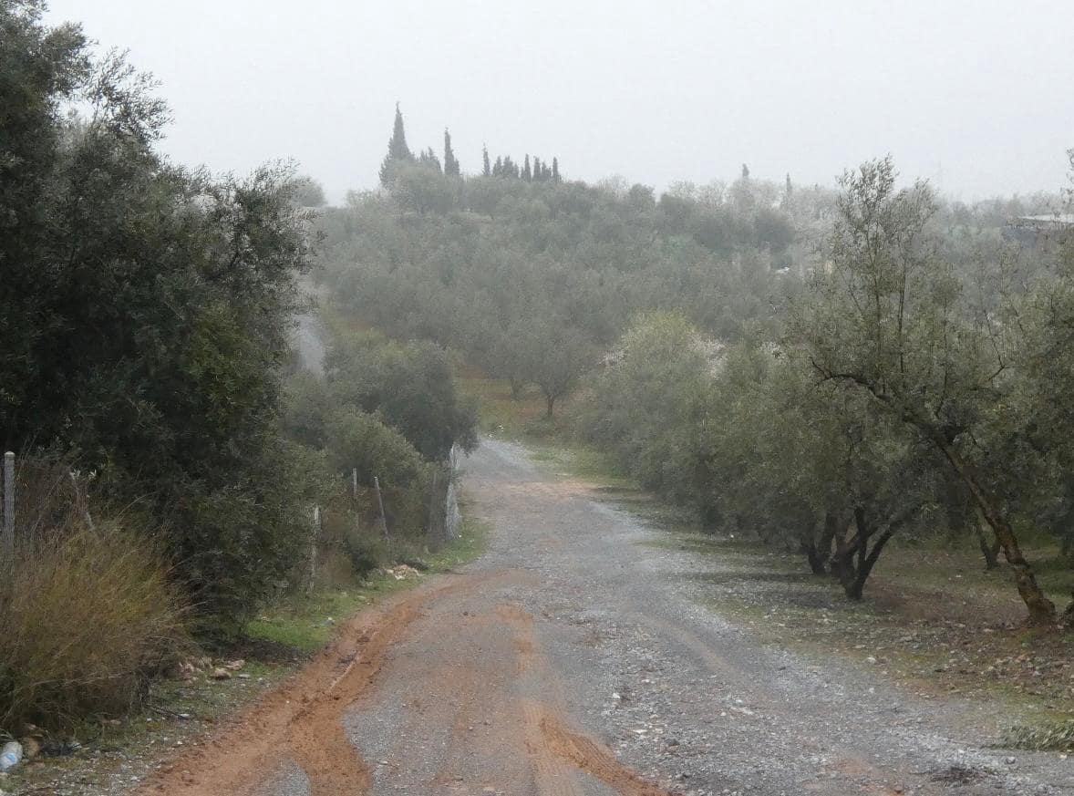 Undeveloped Land for sale in Peligros - € 144,000 (Ref: 9719902)