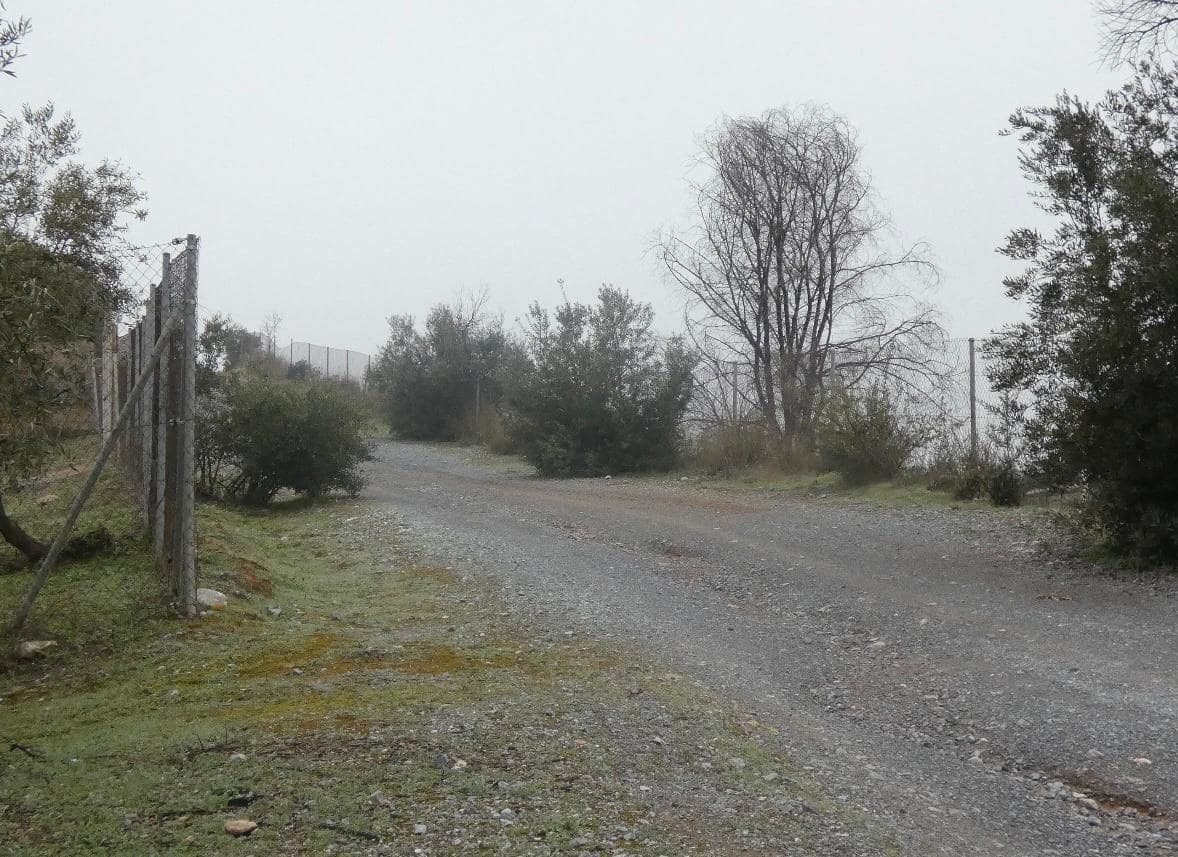 Undeveloped Land for sale in Peligros - € 144,000 (Ref: 9719902)