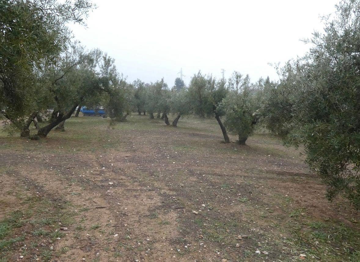 Undeveloped Land for sale in Peligros - € 144,000 (Ref: 9719902)