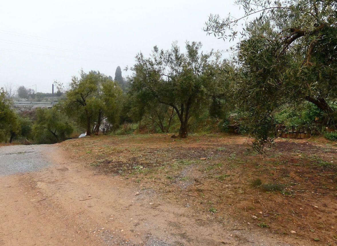 Undeveloped Land for sale in Peligros - € 144,000 (Ref: 9719902)
