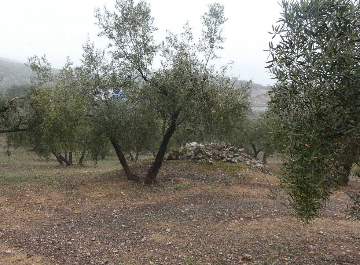 Undeveloped Land for sale in Peligros - € 144,000 (Ref: 9719902)