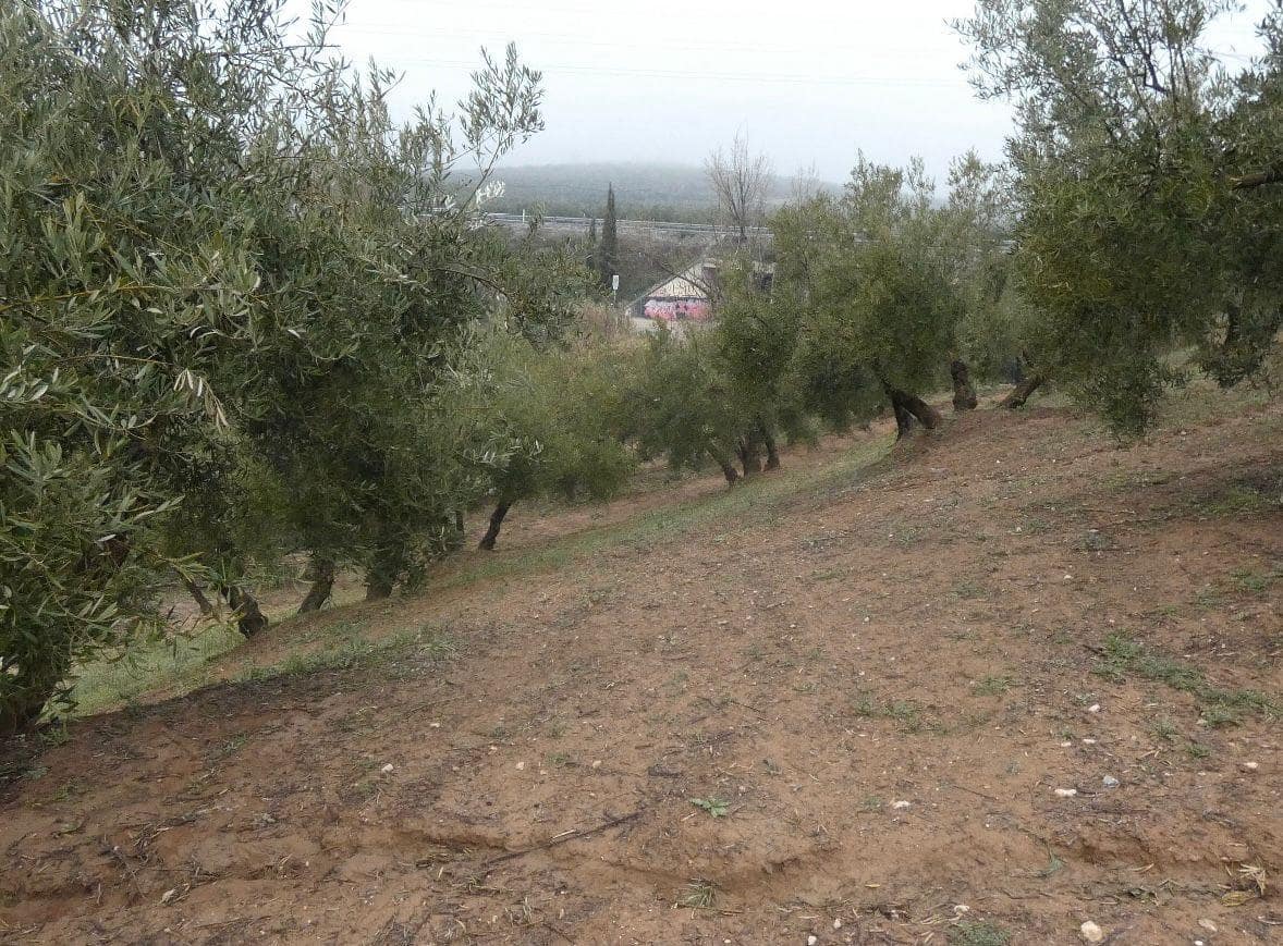 Undeveloped Land for sale in Peligros - € 144,000 (Ref: 9719902)