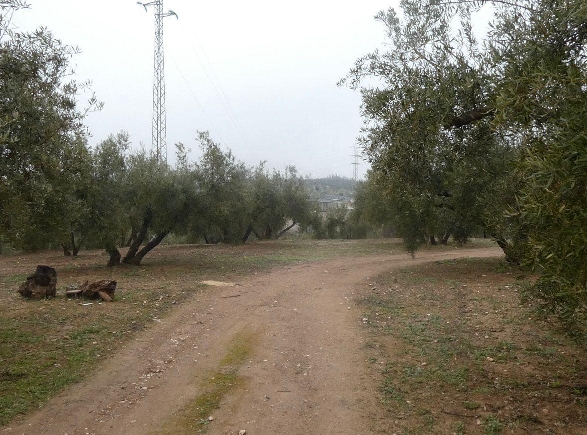 Undeveloped Land for sale in Peligros - € 144,000 (Ref: 9719902)