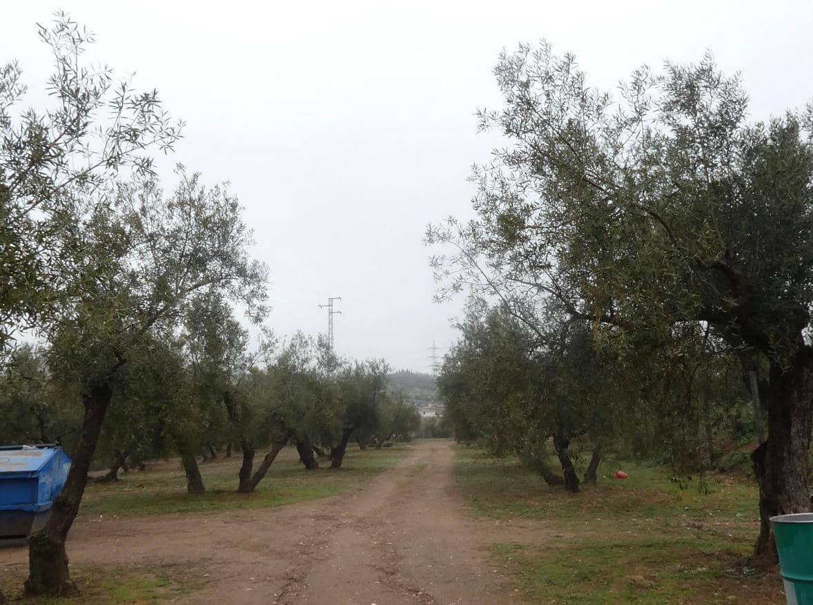 Undeveloped Land for sale in Peligros - € 144,000 (Ref: 9719902)