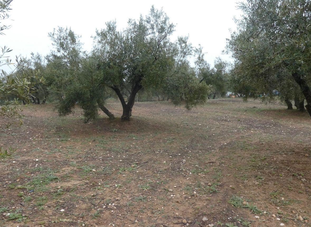 Undeveloped Land for sale in Peligros - € 144,000 (Ref: 9719902)