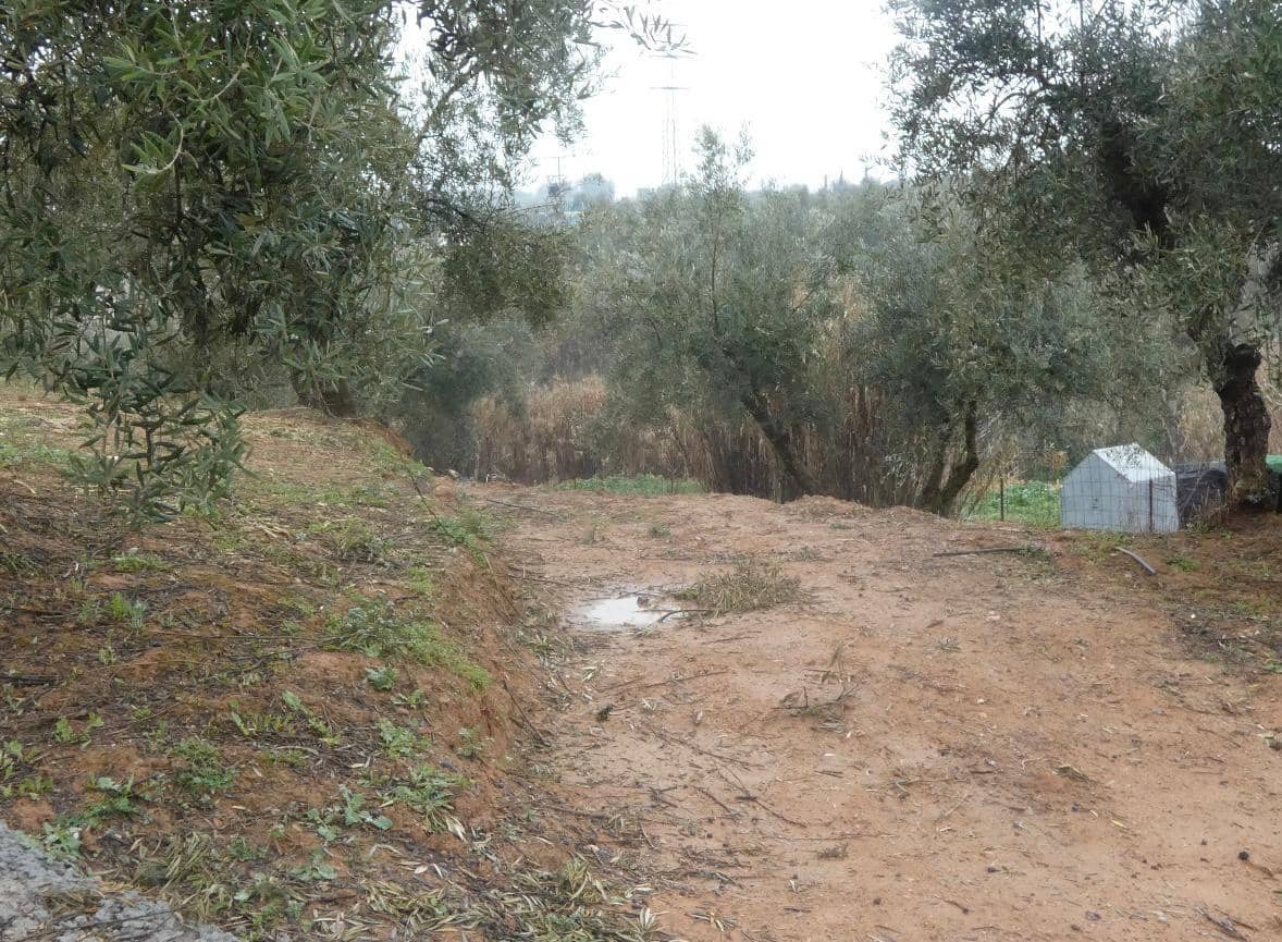 Undeveloped Land for sale in Peligros - € 144,000 (Ref: 9719902)