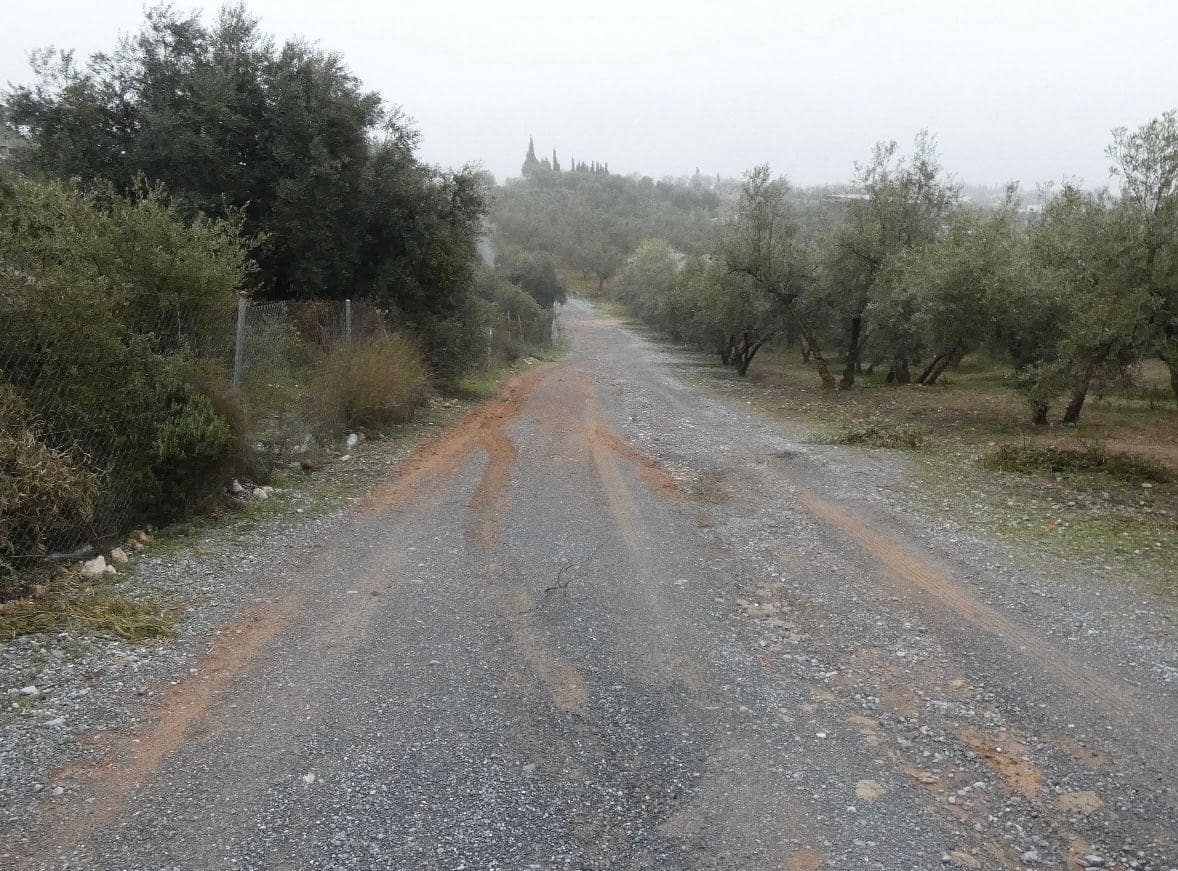 Undeveloped Land for sale in Peligros - € 144,000 (Ref: 9719902)