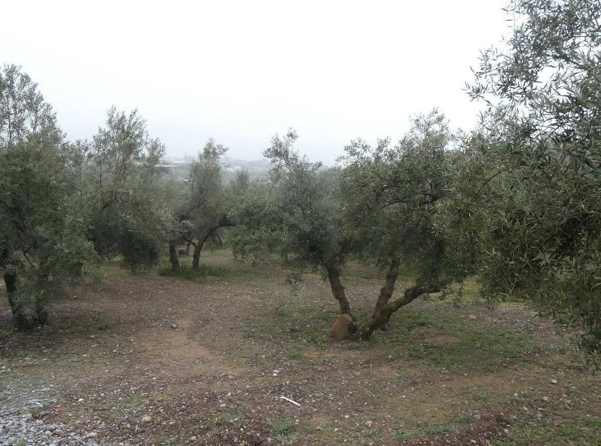 Undeveloped Land for sale in Peligros - € 144,000 (Ref: 9719902)