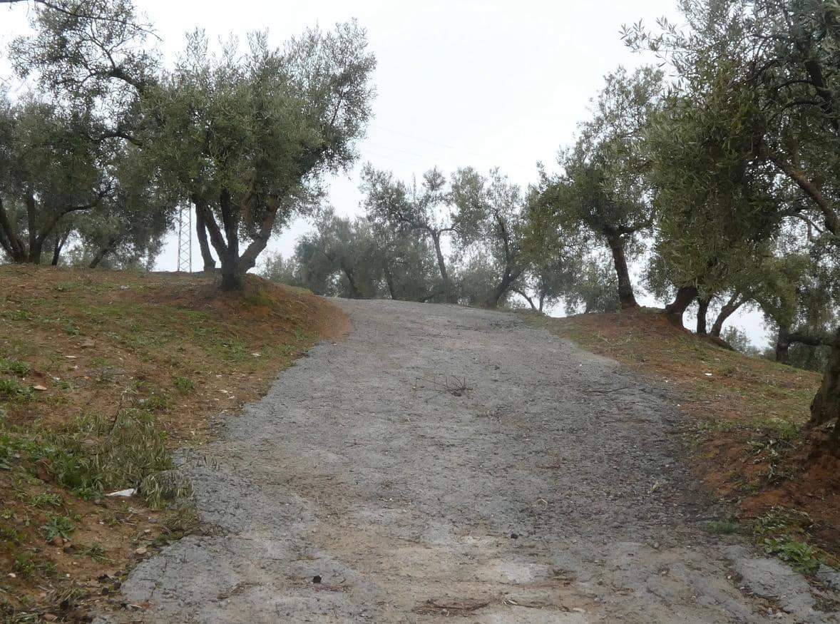 Undeveloped Land for sale in Peligros - € 144,000 (Ref: 9719902)