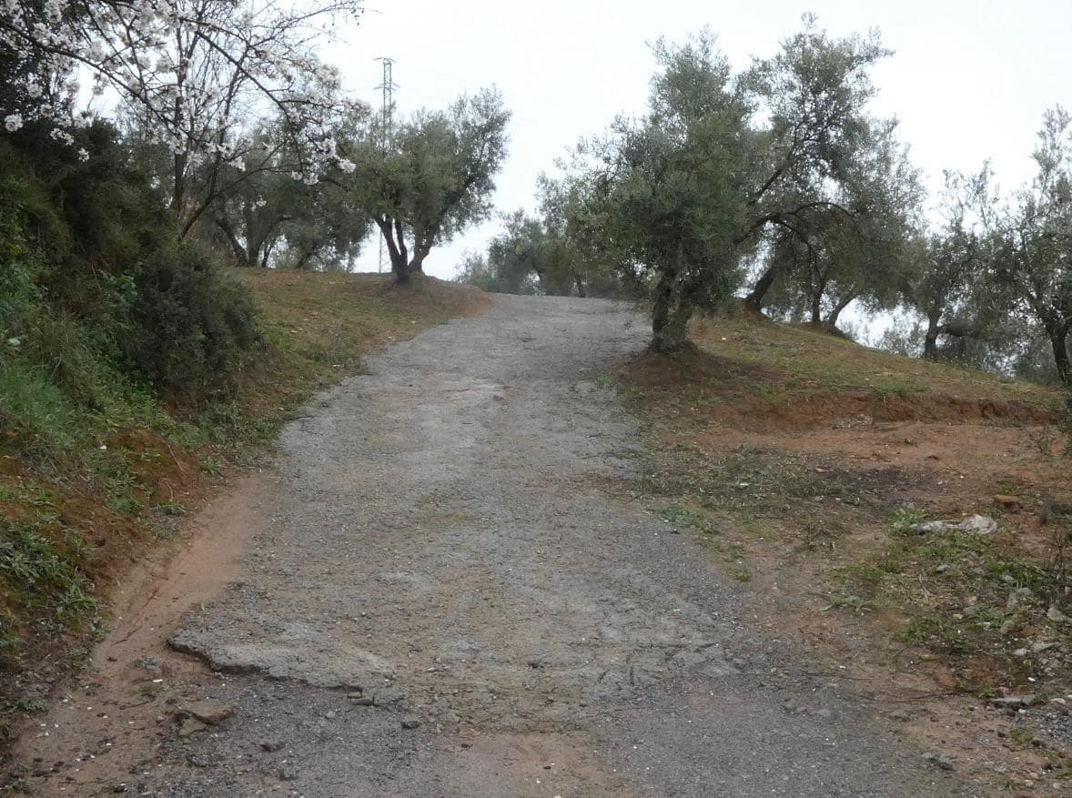 Undeveloped Land for sale in Peligros - € 144,000 (Ref: 9719902)